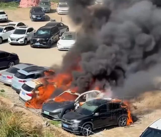 迪、宝马、马自达等品牌！疑似车主称该车才