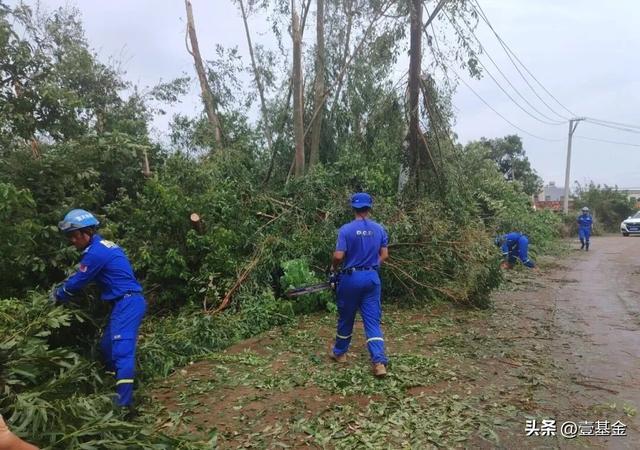 救灾一线壹基金联合救灾项目伙伴在行动新葡京娱乐场app十一假期他们忙碌在(图7)