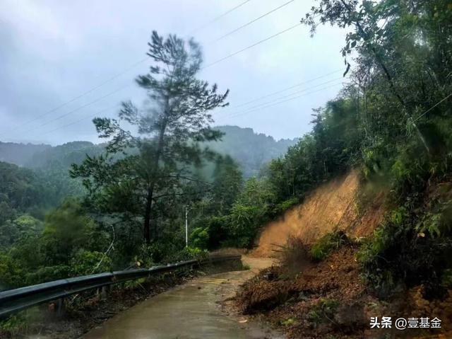 救灾一线壹基金联合救灾项目伙伴在行动新葡京娱乐场app十一假期他们忙碌在(图8)