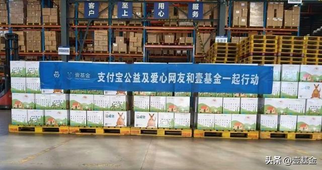 救灾一线壹基金联合救灾项目伙伴在行动新葡京娱乐场app十一假期他们忙碌在(图11)