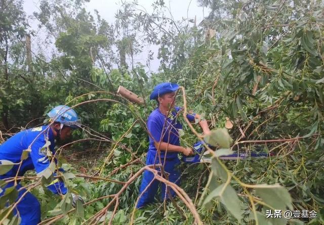 救灾一线壹基金联合救灾项目伙伴在行动新葡京娱乐场app十一假期他们忙碌在(图9)