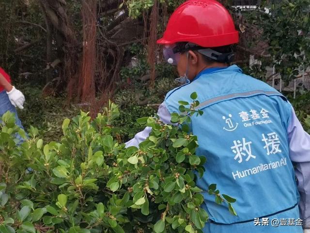 救灾一线壹基金联合救灾项目伙伴在行动新葡京娱乐场app十一假期他们忙碌在(图12)