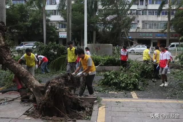 救灾一线壹基金联合救灾项目伙伴在行动新葡京娱乐场app十一假期他们忙碌在(图18)