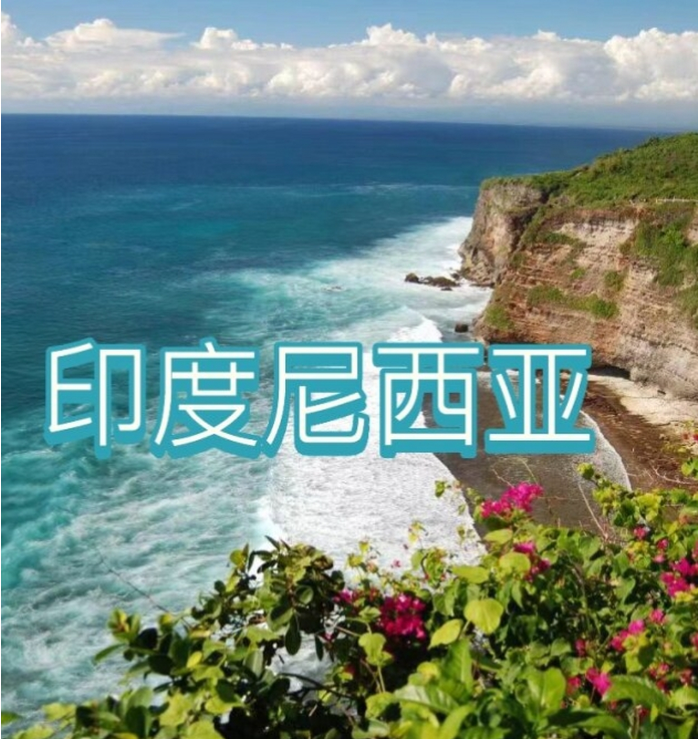 际电商(印尼)产业博览会澳门新葡京2025中国国