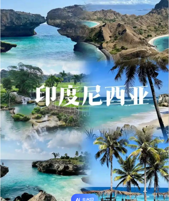 际电商(印尼)产业博览会澳门新葡京2025中国国(图3)