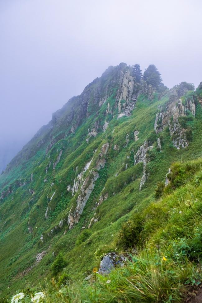 款睡袋怎么选？不踩雷指南澳门新葡京户外新手的第一(图1)