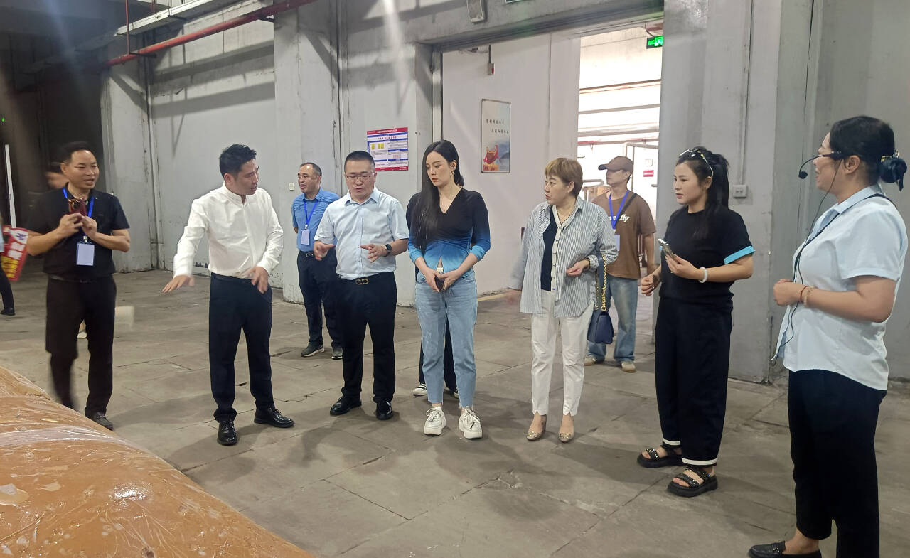 艺团队打卡咸宁高新区企业新葡京抖音头部音